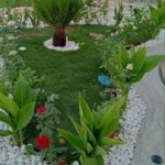 IMG-20241028-WA0010
